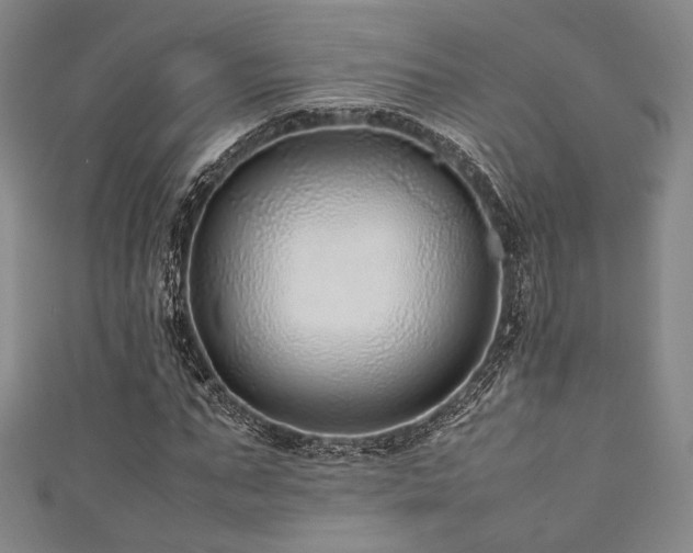 X0000111840871200907231406