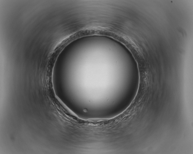 X0000111840872200907231406