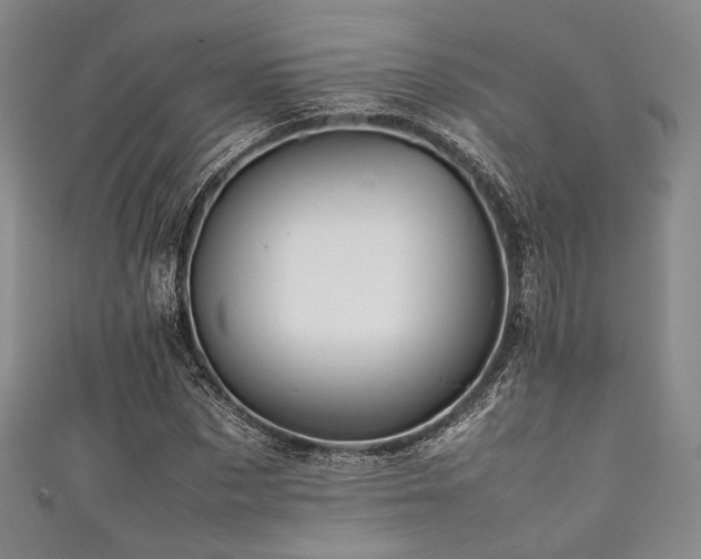 X0000111840873200907231406