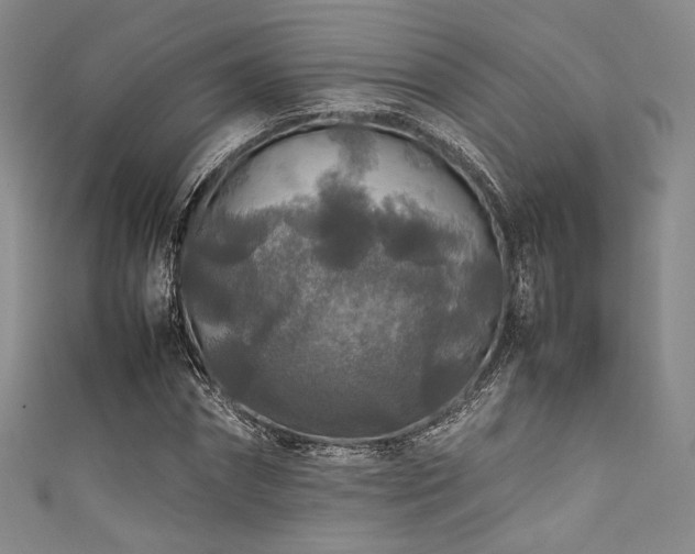 X0000111840874200907231406