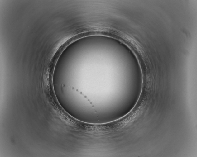 X0000111840875200907231406