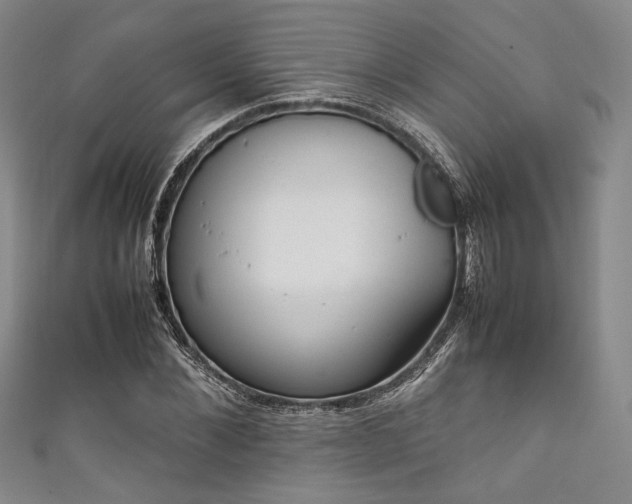 X0000111840876200907231406