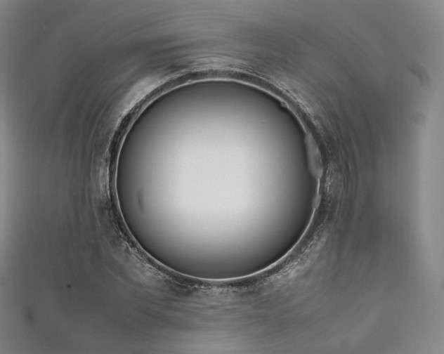 X0000111840877200907231406