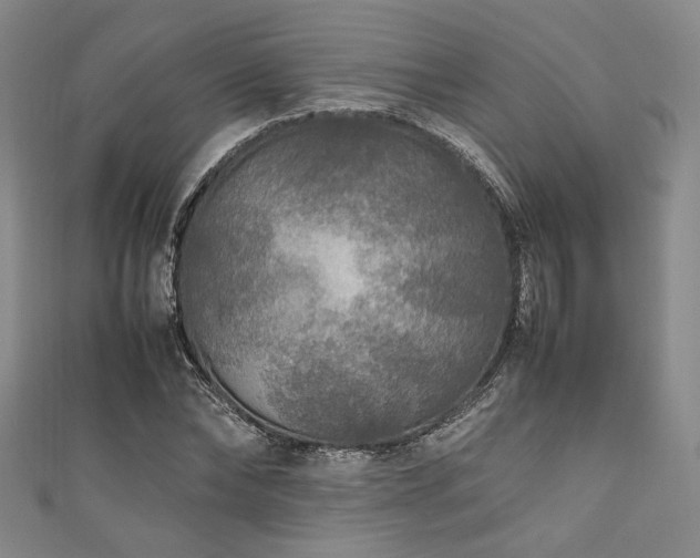 X0000111840878200907231406