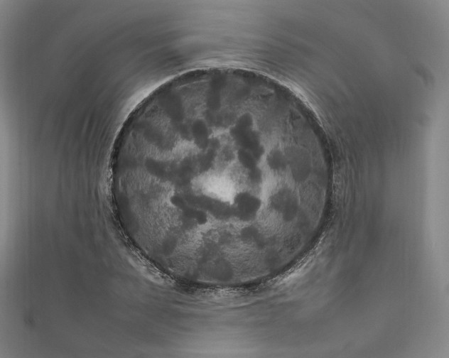 X0000111840879200907231406