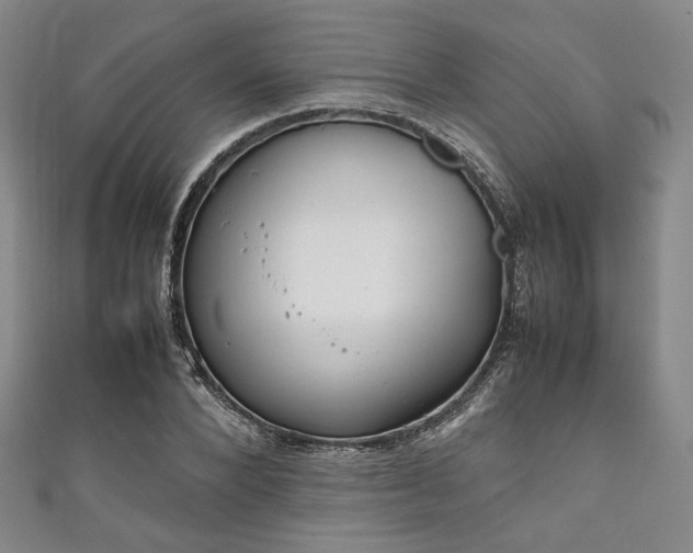 X0000111840880200907231406