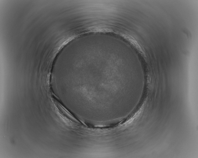 X0000111840881200907231406