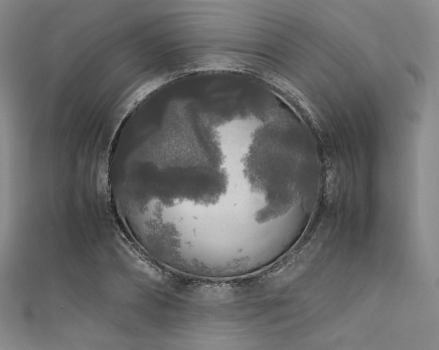 X0000111840882200907231406