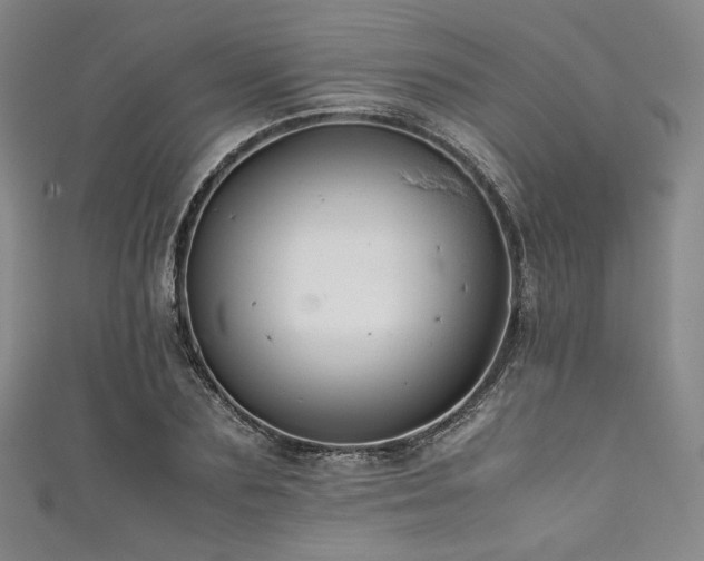 X0000111840883200907231406