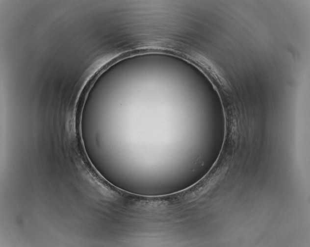 X0000111840884200907231406