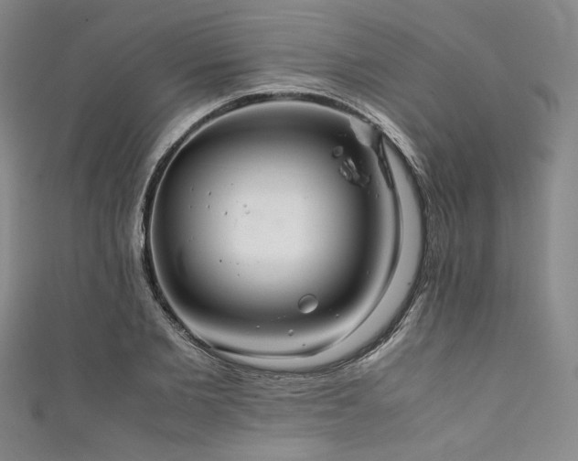 X0000111840885200907231406