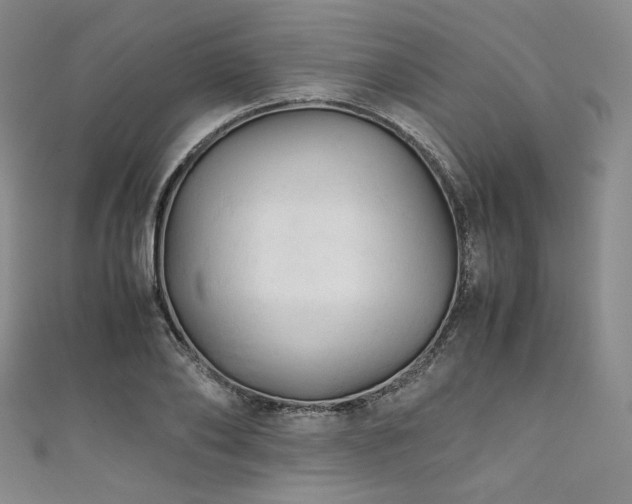 X0000111840886200907231406