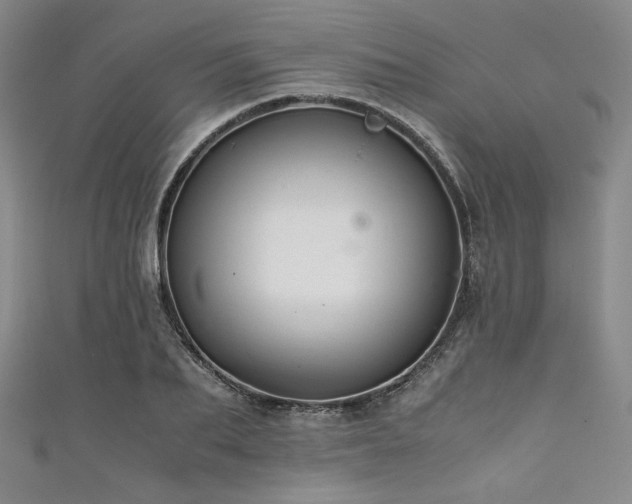 X0000111840887200907231406