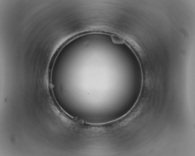 X0000111840888200907231406