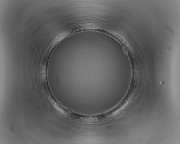 X0000111840889200907231406