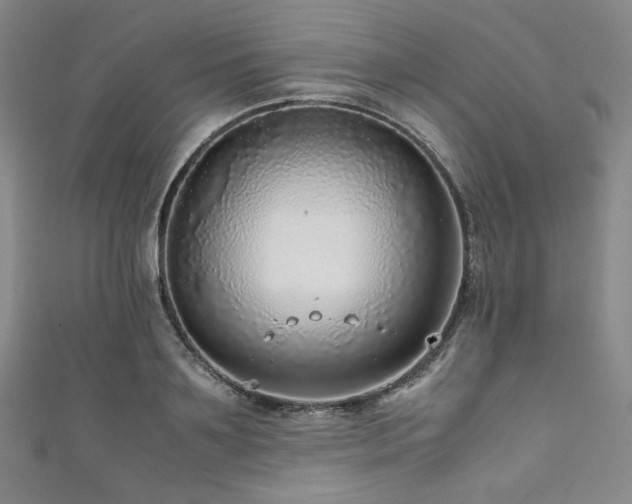 X0000111840891200907231406