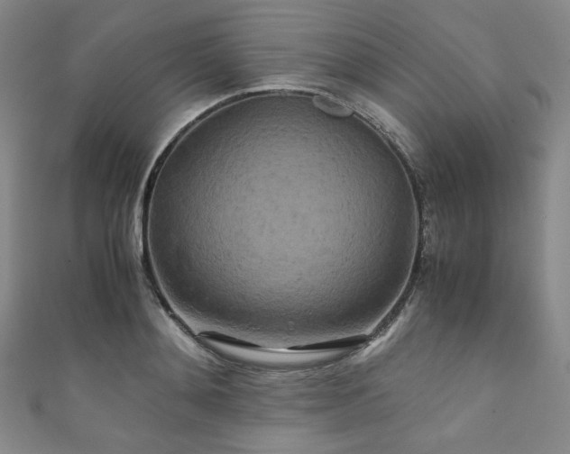 X0000111840892200907231406