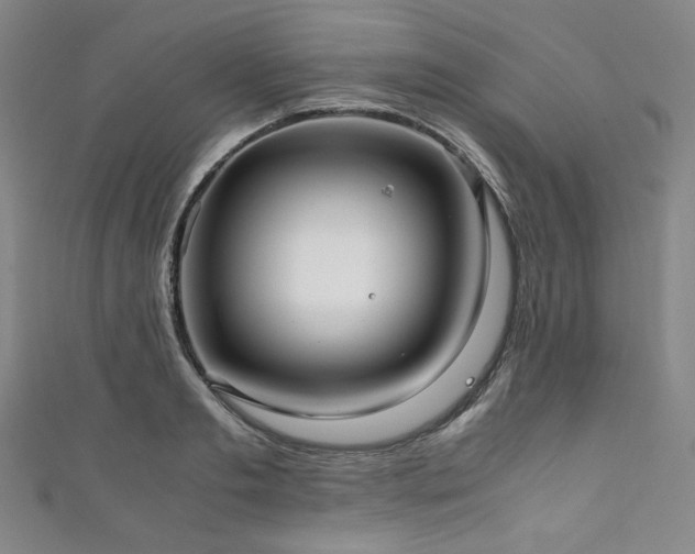 X0000111840893200907231406