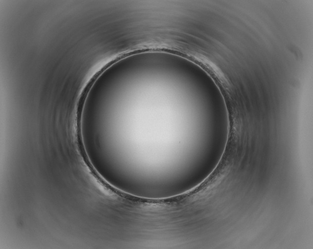 X0000111840894200907231406