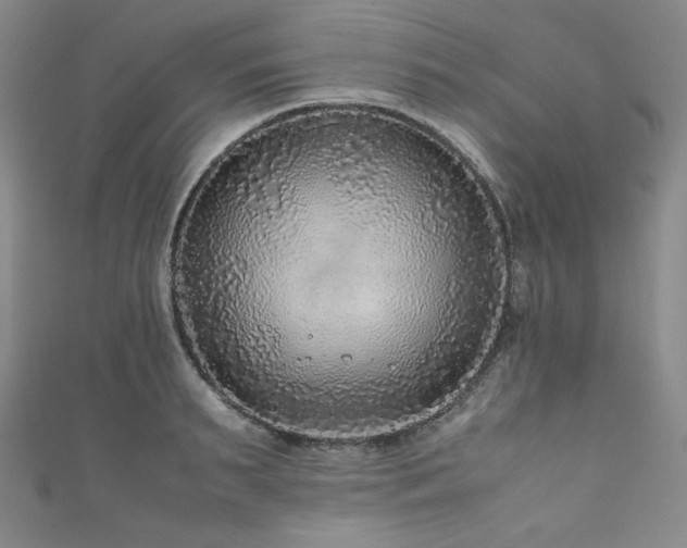 X0000111840895200907231406