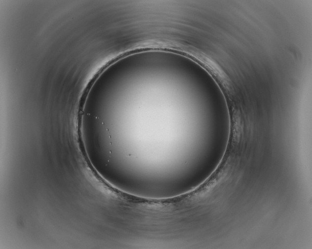 X0000111840896200907231406