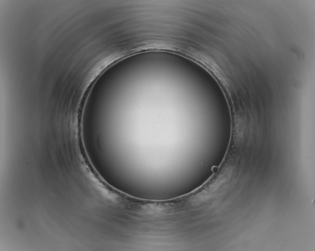 X0000111840898200907231406