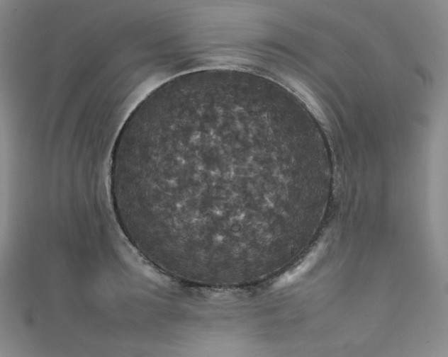 X0000111840899200907231405