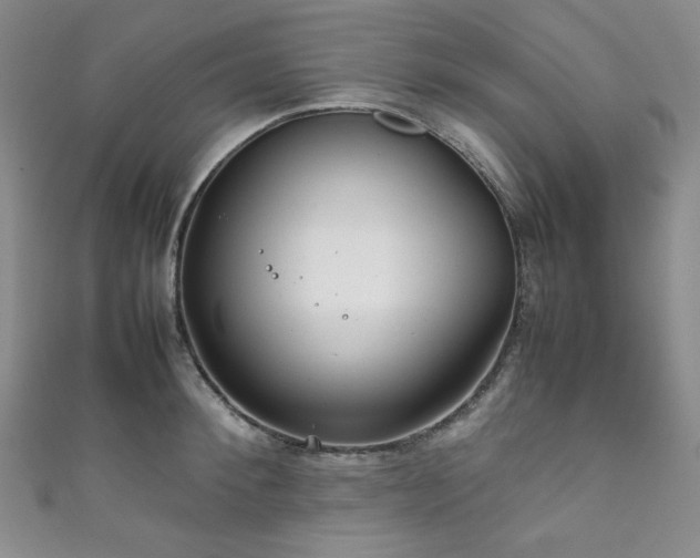 X0000111840900200907231405