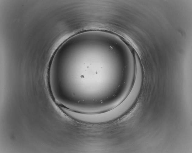 X0000111840901200907231405