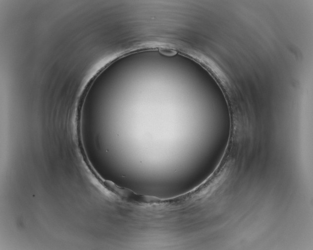 X0000111840902200907231405