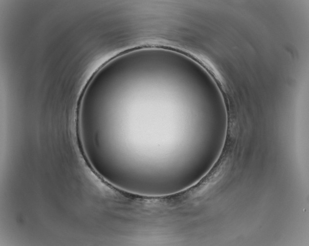 X0000111840903200907231405