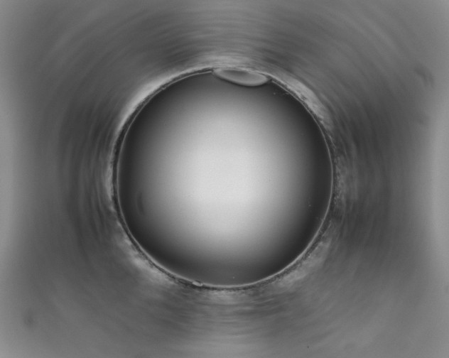 X0000111840904200907231405