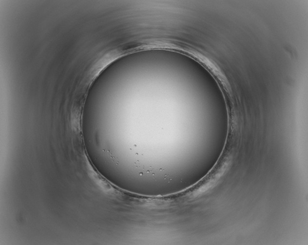 X0000111840905200907231405