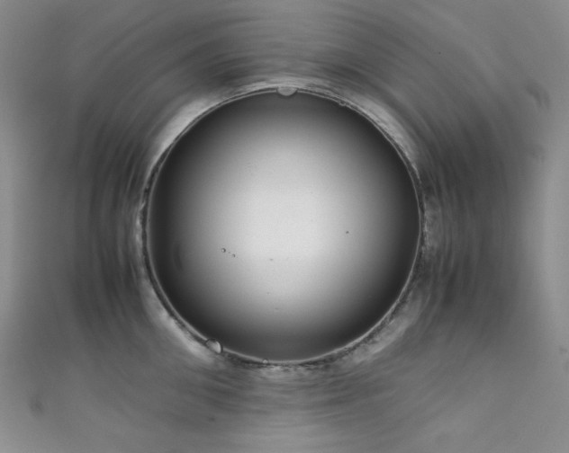 X0000111840906200907231405