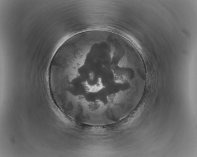 X0000111840907200907231405