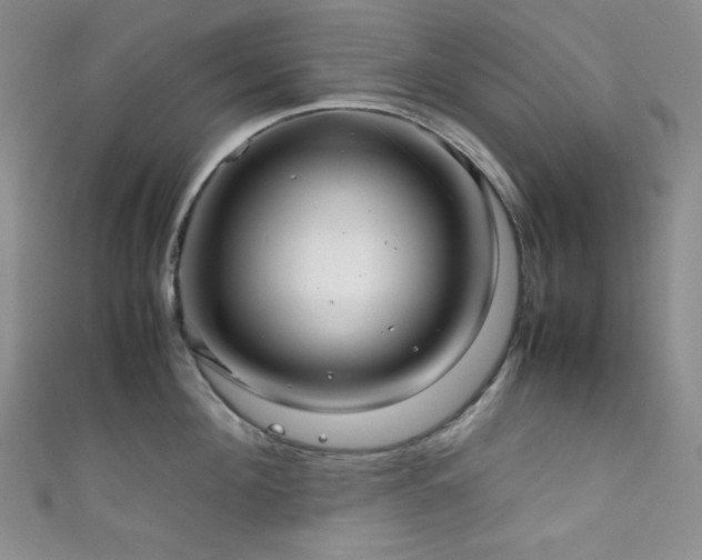 X0000111840908200907231405