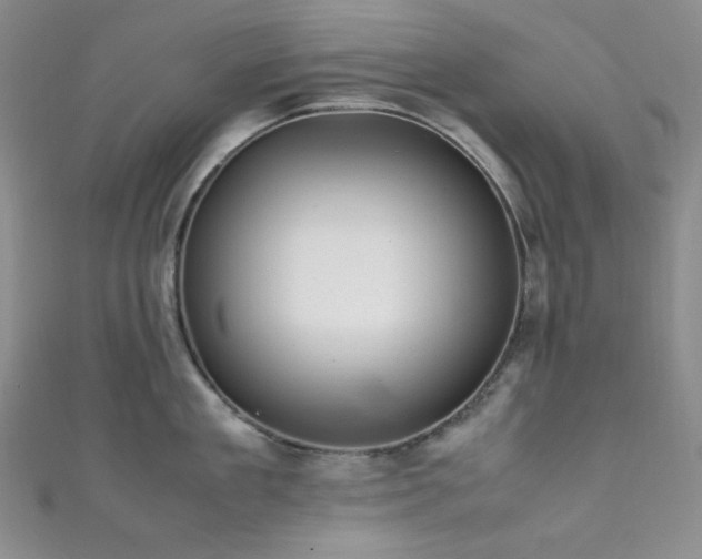 X0000111840909200907231405