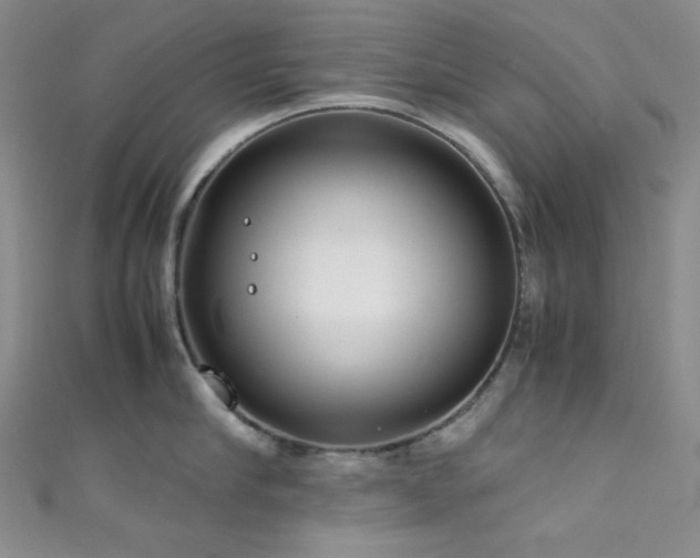 X0000111840910200907231405