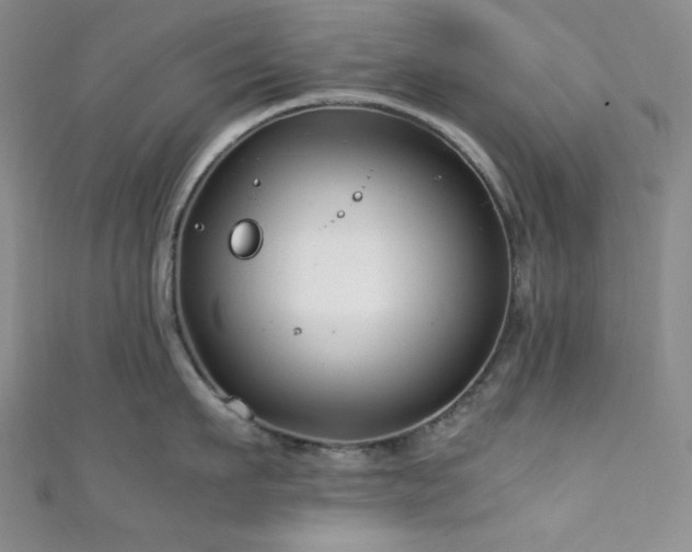 X0000111840911200907231405