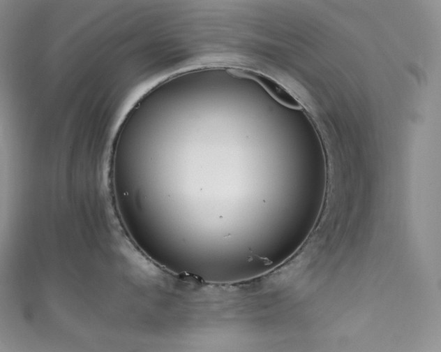 X0000111840912200907231405