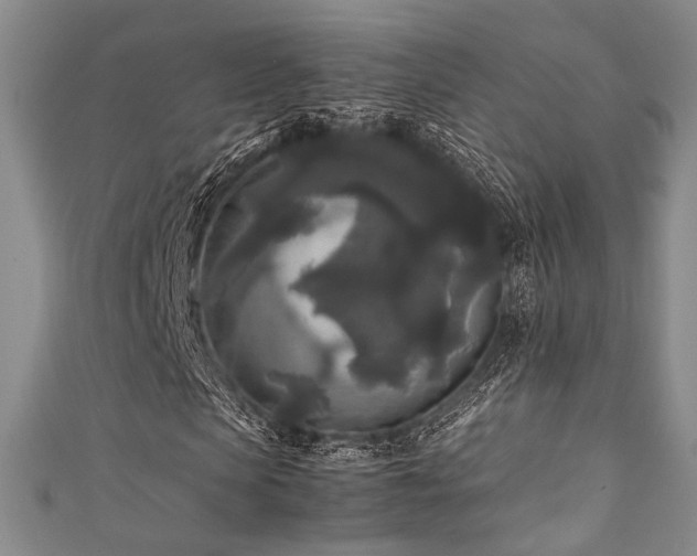 X0000111840913200907231405