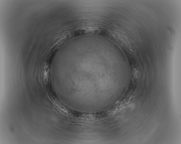 X0000111840914200907231405