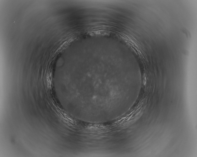 X0000111840915200907231405