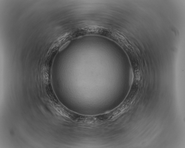 X0000111840916200907231405