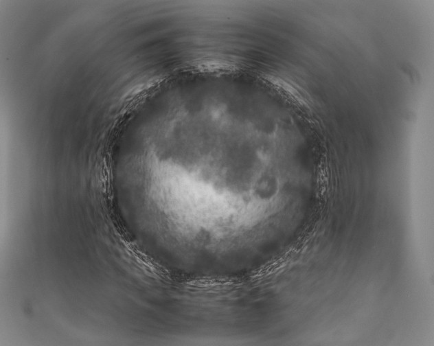 X0000111840917200907231405