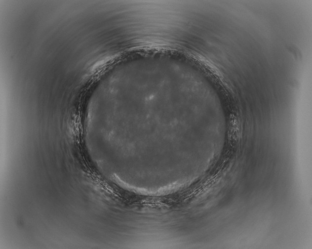 X0000111840918200907231405