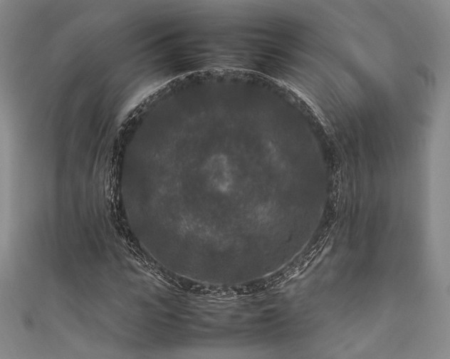 X0000111840919200907231405