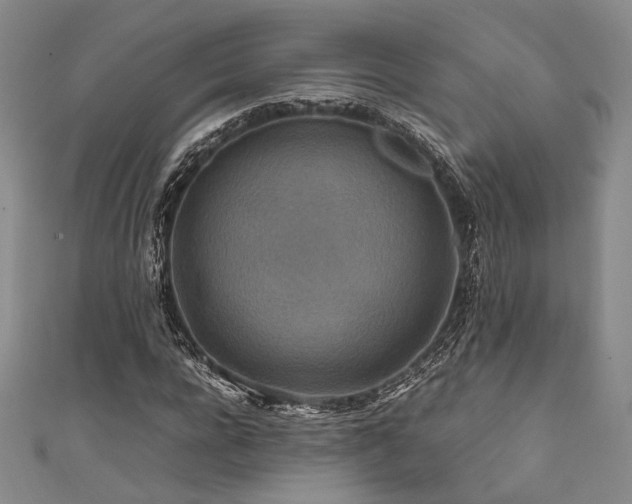 X0000111840920200907231405