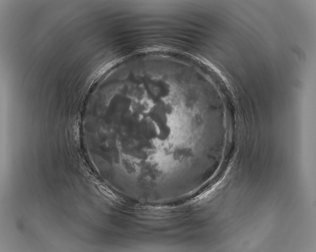 X0000111840921200907231405