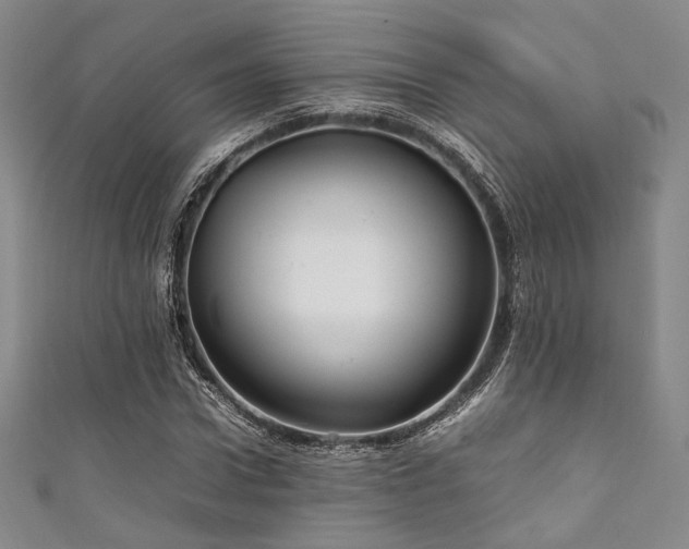 X0000111840922200907231405